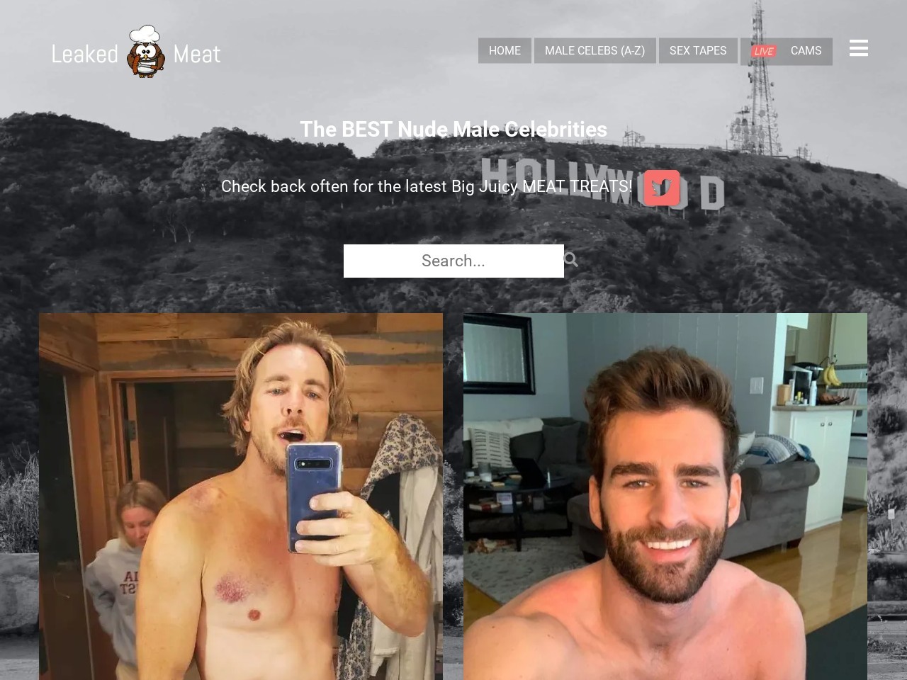 LeakedMeat - Naked Male Celeb Sites