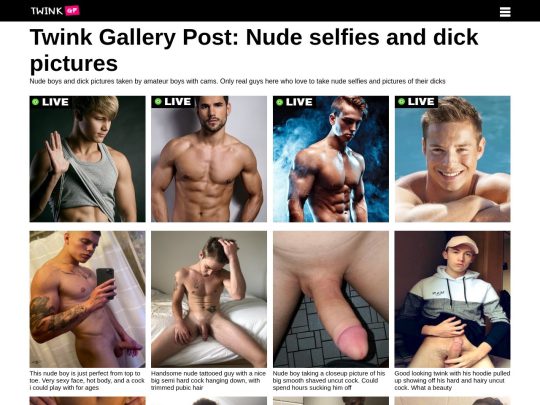 Twink Gallery Post