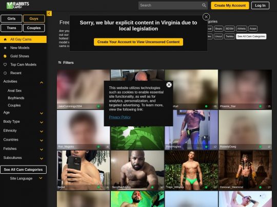 Rabbits Gay Cams